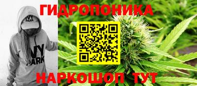 мяу мяу мука Тулун