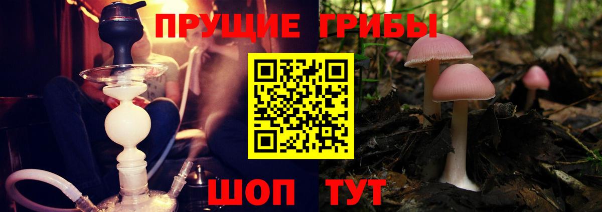 Галлюциногенные грибы прущие грибы Нальчик