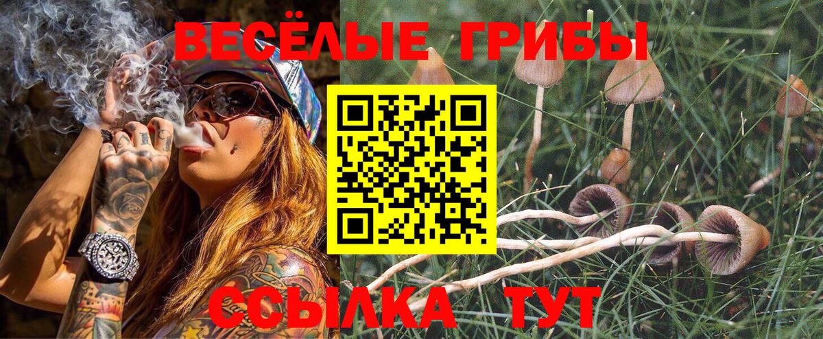 Нальчик  Галлюциногенные грибы ЛСД  Вход с VPN 